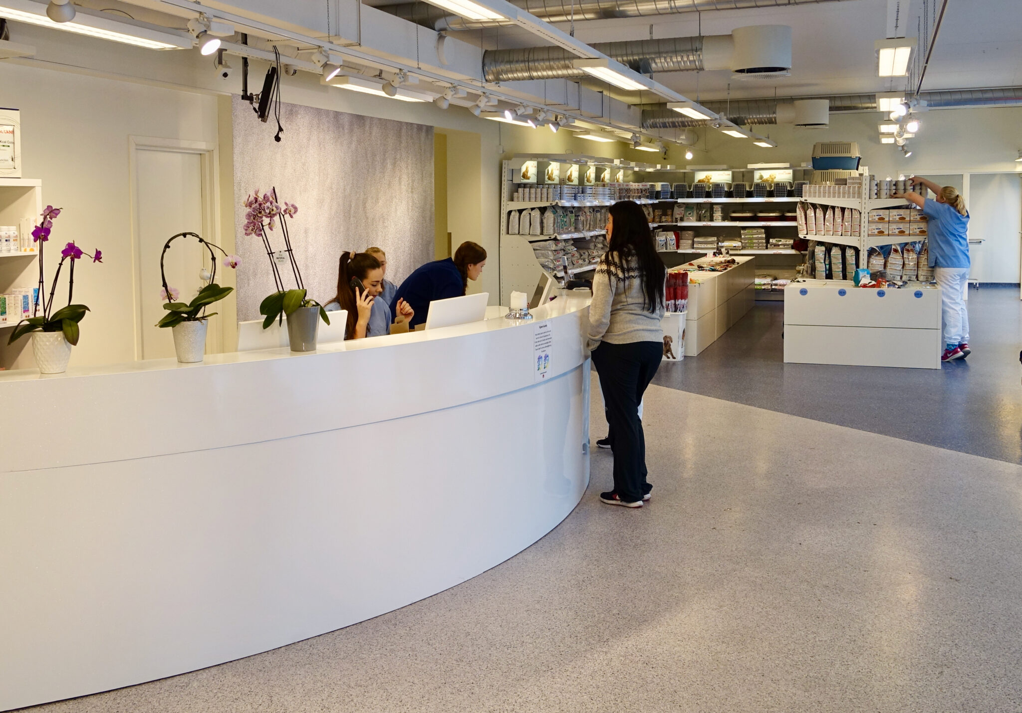 Dviejų spalvų besiūlės grindys veterinarijos klinikos registratūroje